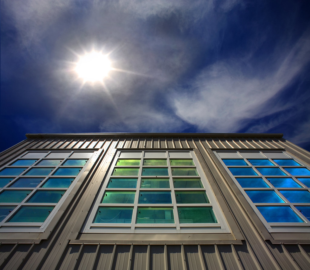 Slidell Window Replacement